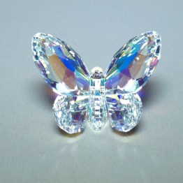 Vlinder Aurora Borealis